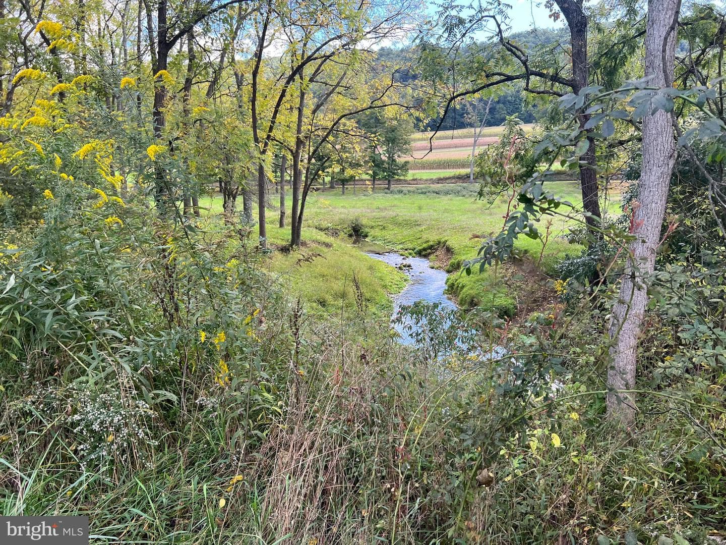 1124 Sunbury Path photo 44