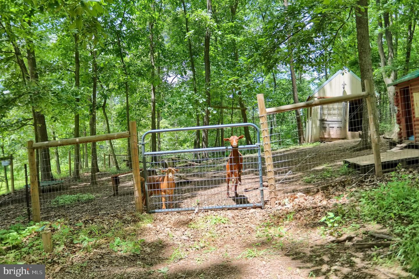 671 Buckwalter Road photo 47