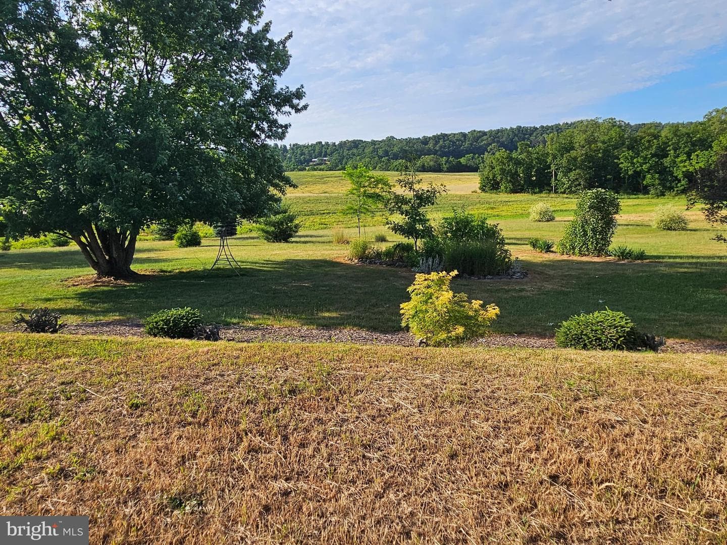 705 Veterans Way photo 58