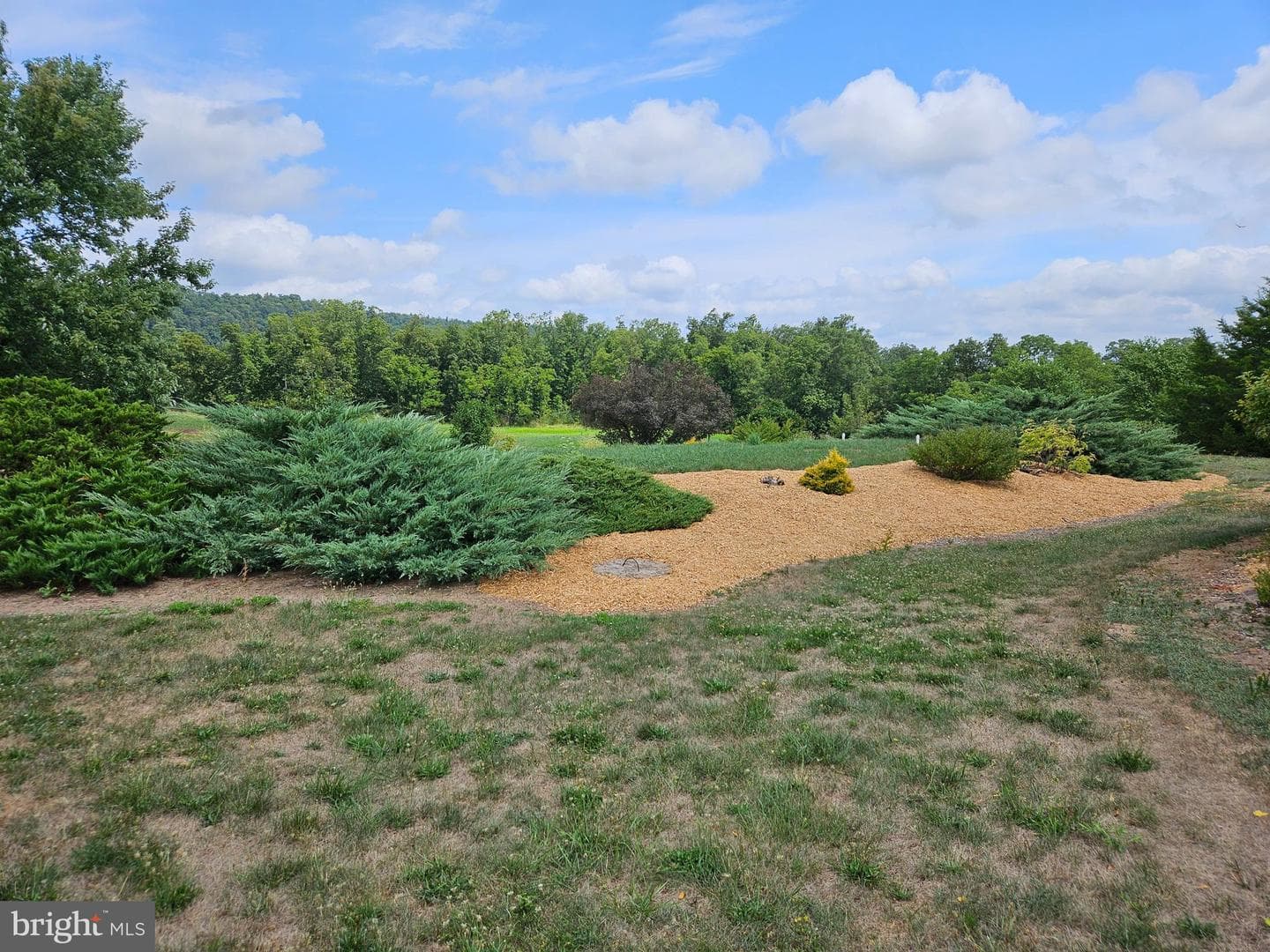 705 Veterans Way photo 63