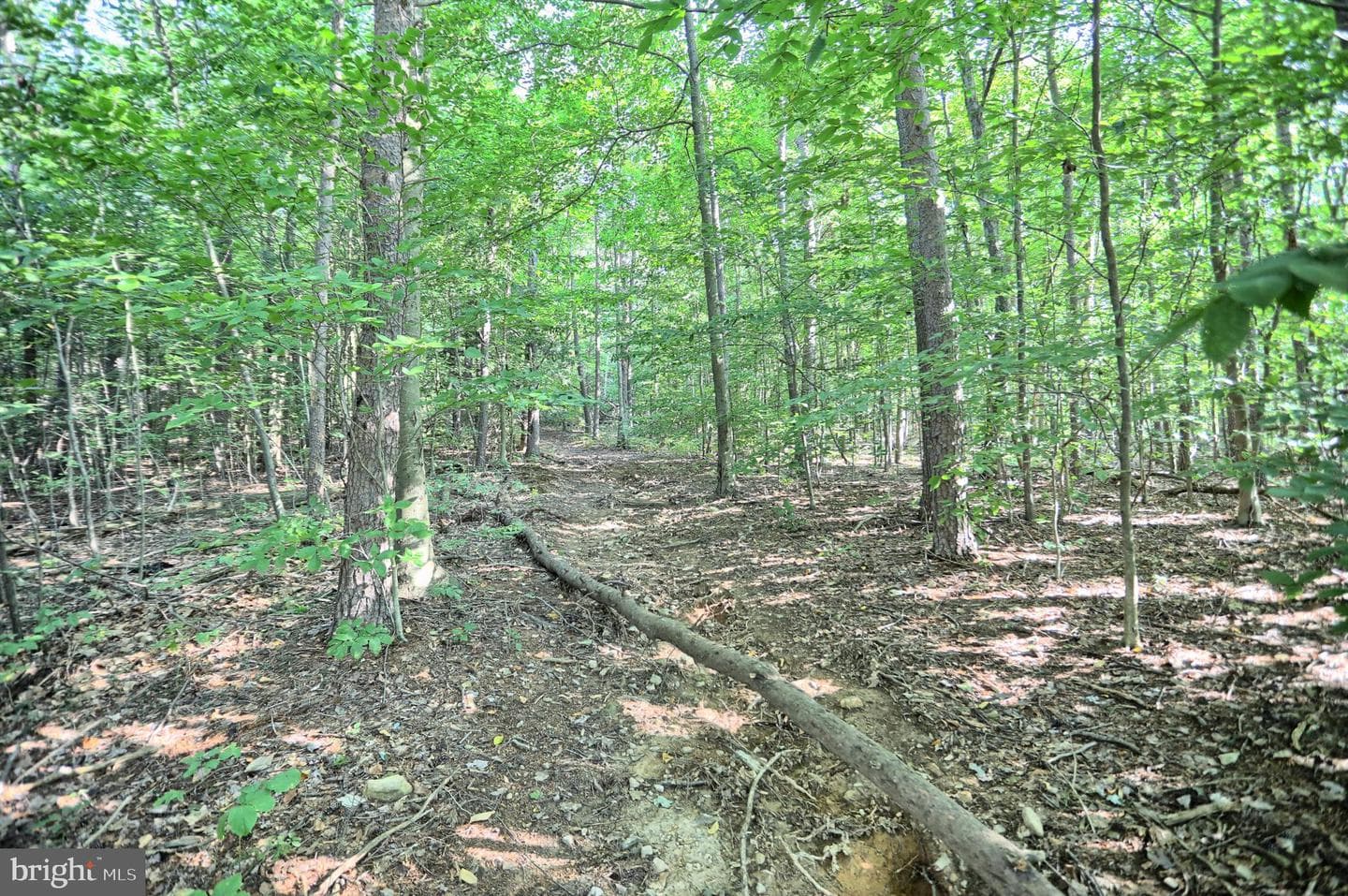 12270 Buffalo Trace photo 18