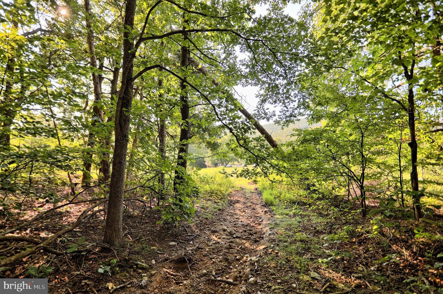 12270 Buffalo Trace photo 19