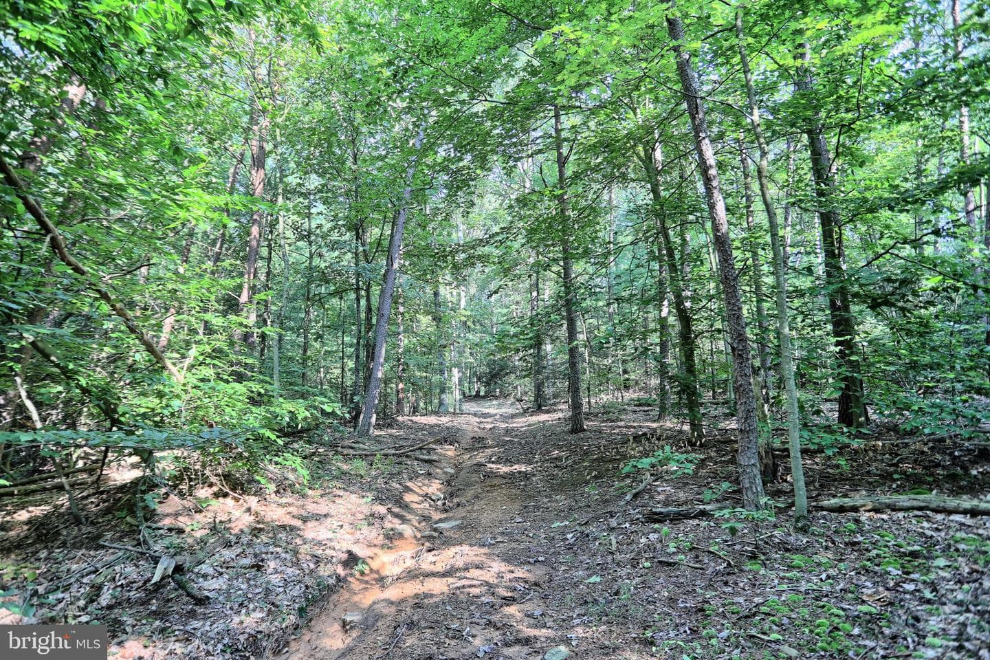 12270 Buffalo Trace photo 20