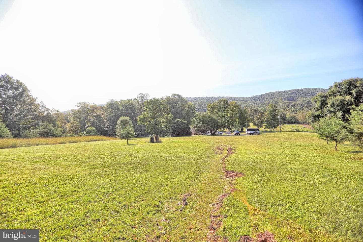 12270 Buffalo Trace photo 25