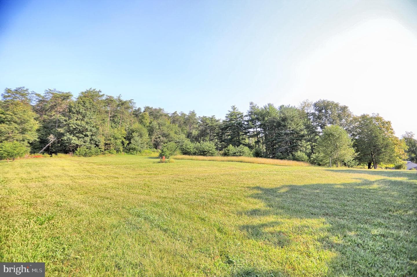 12270 Buffalo Trace photo 26