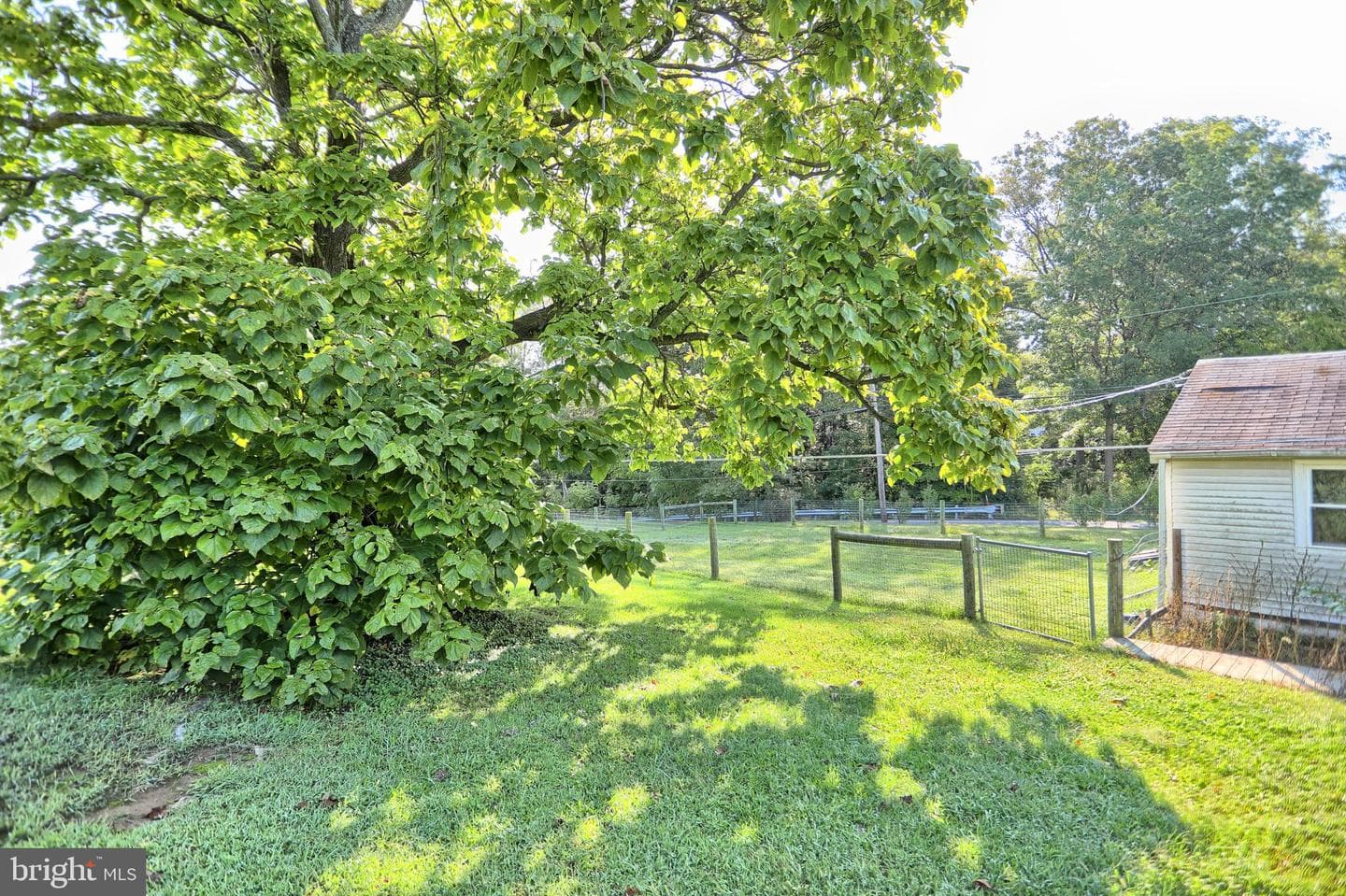 12270 Buffalo Trace photo 31