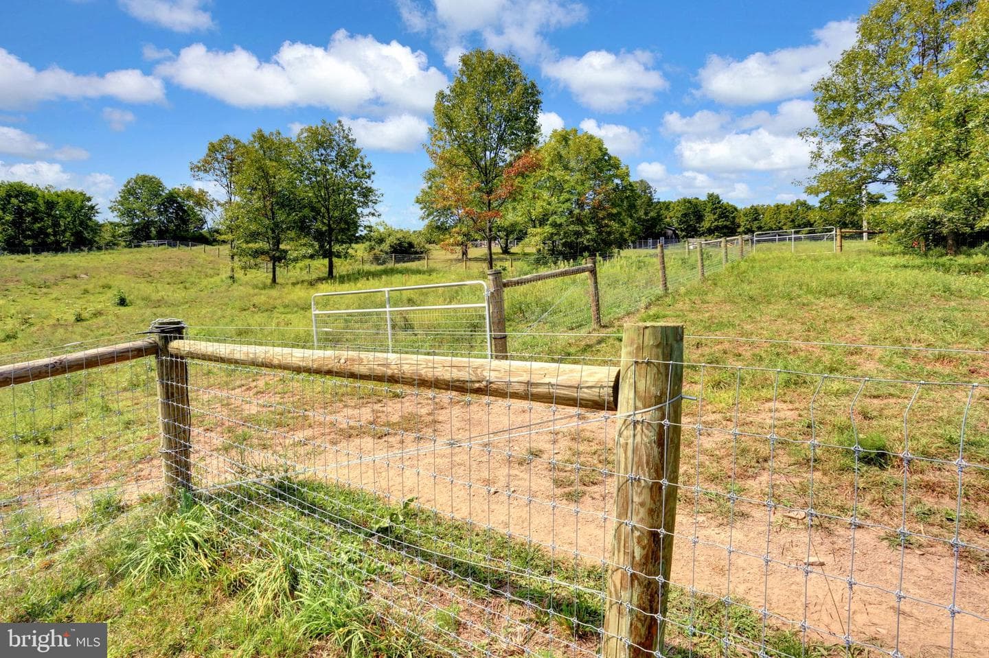 1304 Honeysuckle Hollow Rd photo 49