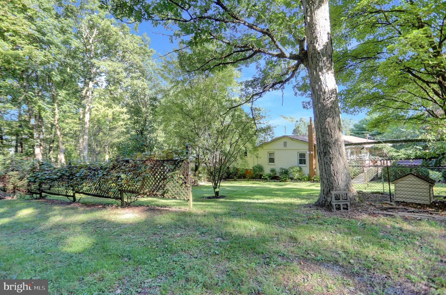 650 Bucks Church Road photo 10