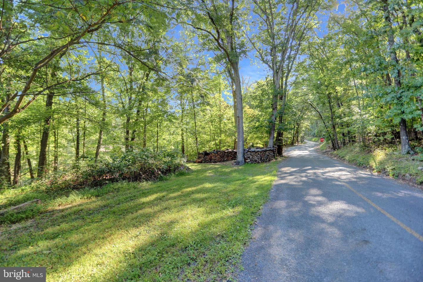 650 Bucks Church Road photo 18