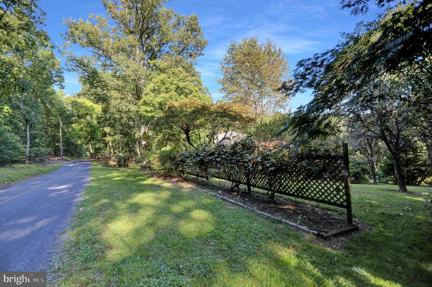 650 Bucks Church Road photo 19