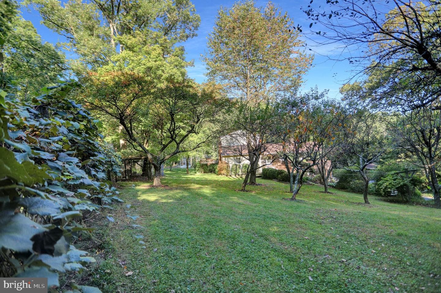 650 Bucks Church Road photo 31
