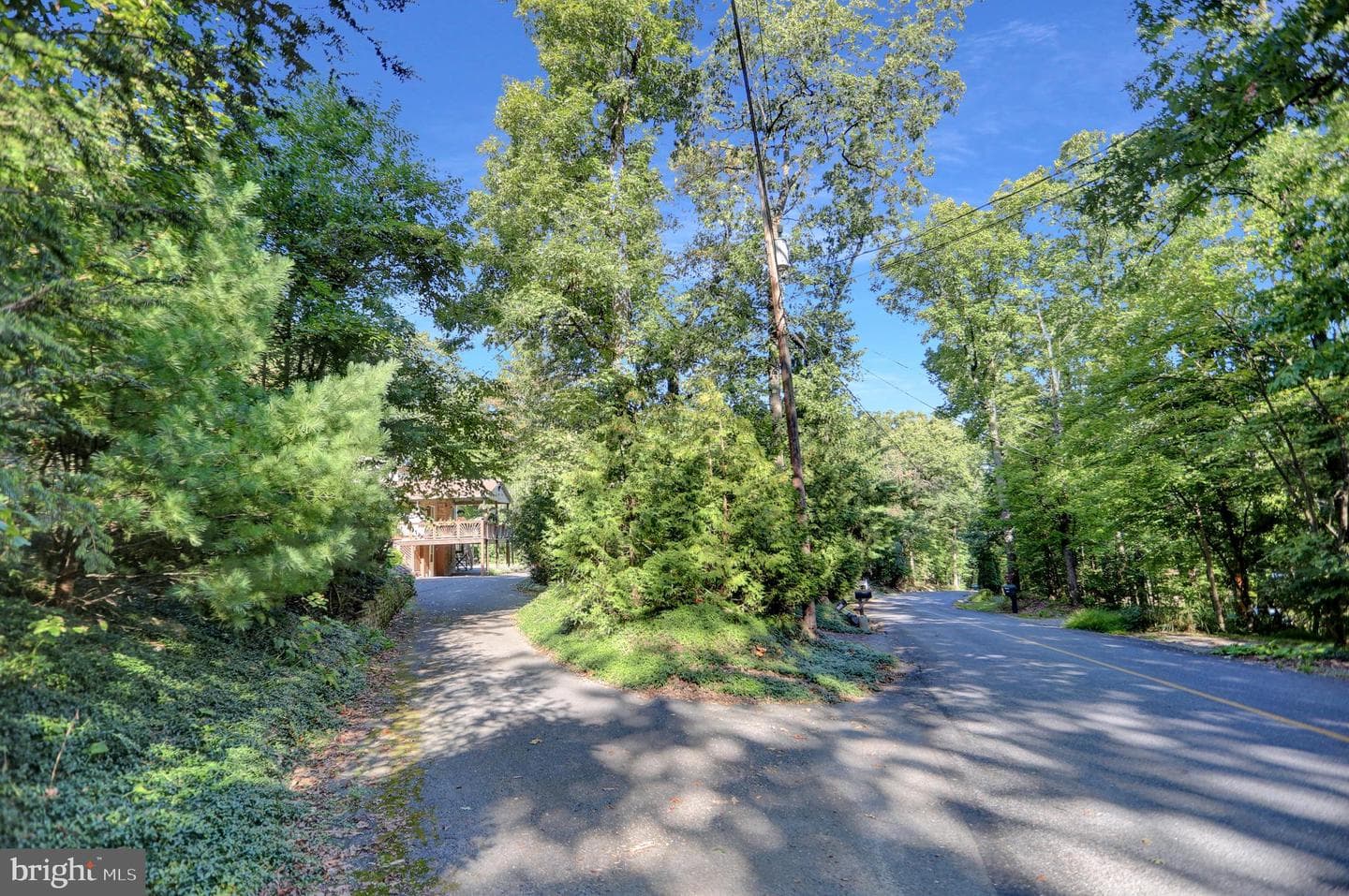 650 Bucks Church Road photo 34