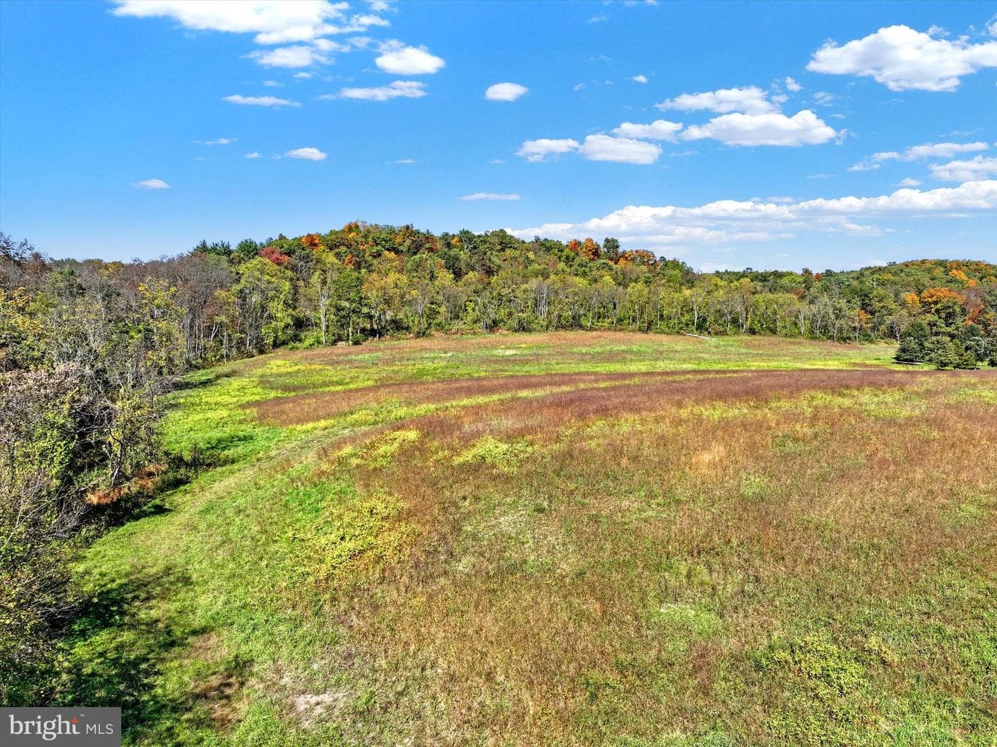 2450 Little Buffalo Road photo 57