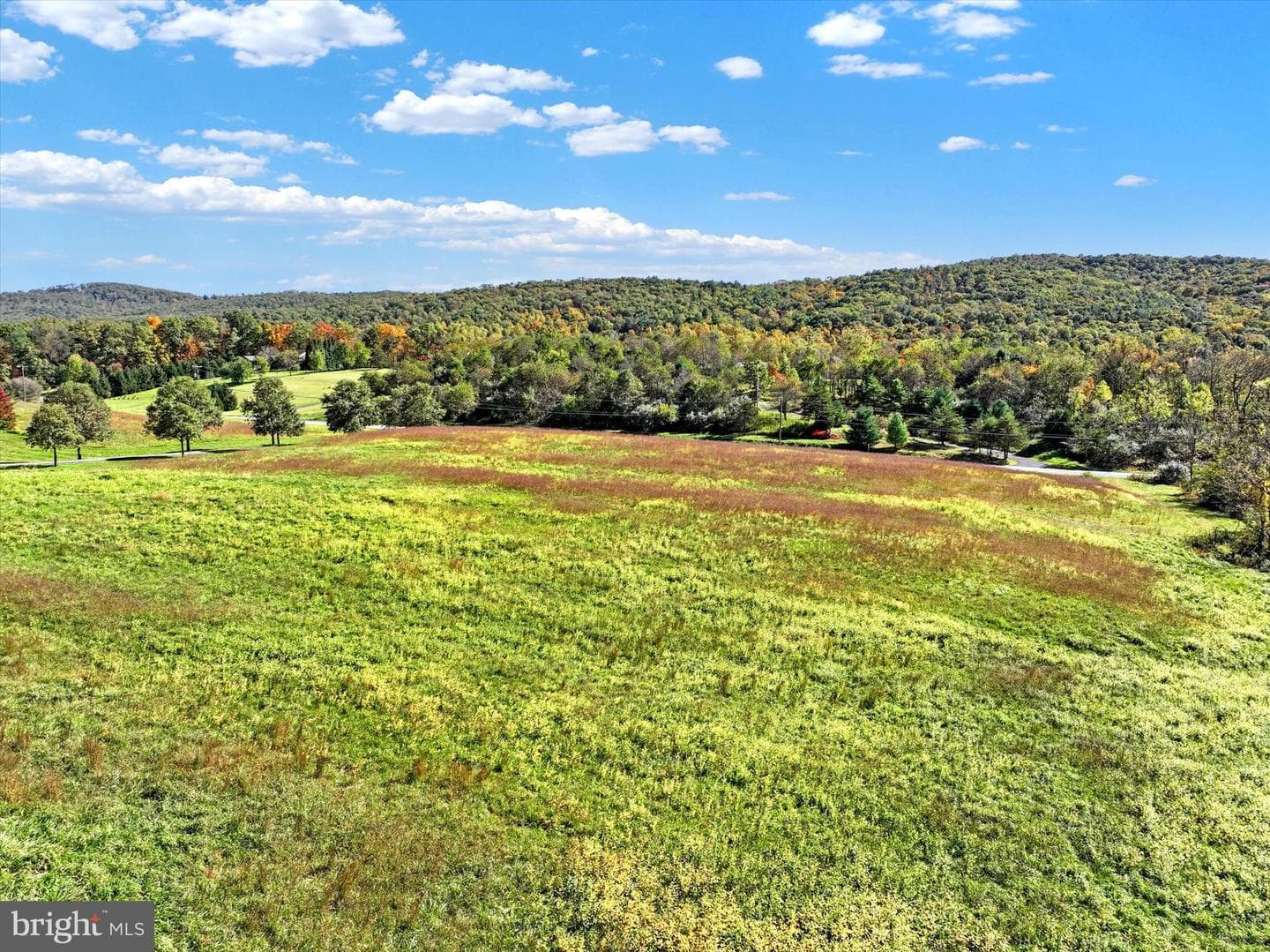 2450 Little Buffalo Road photo 59