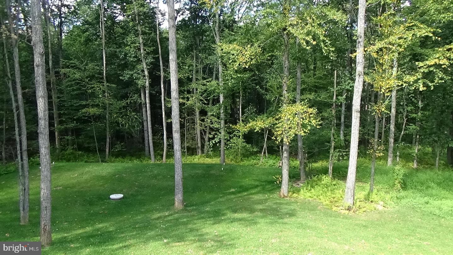54 Hickory Ridge Rd photo 20
