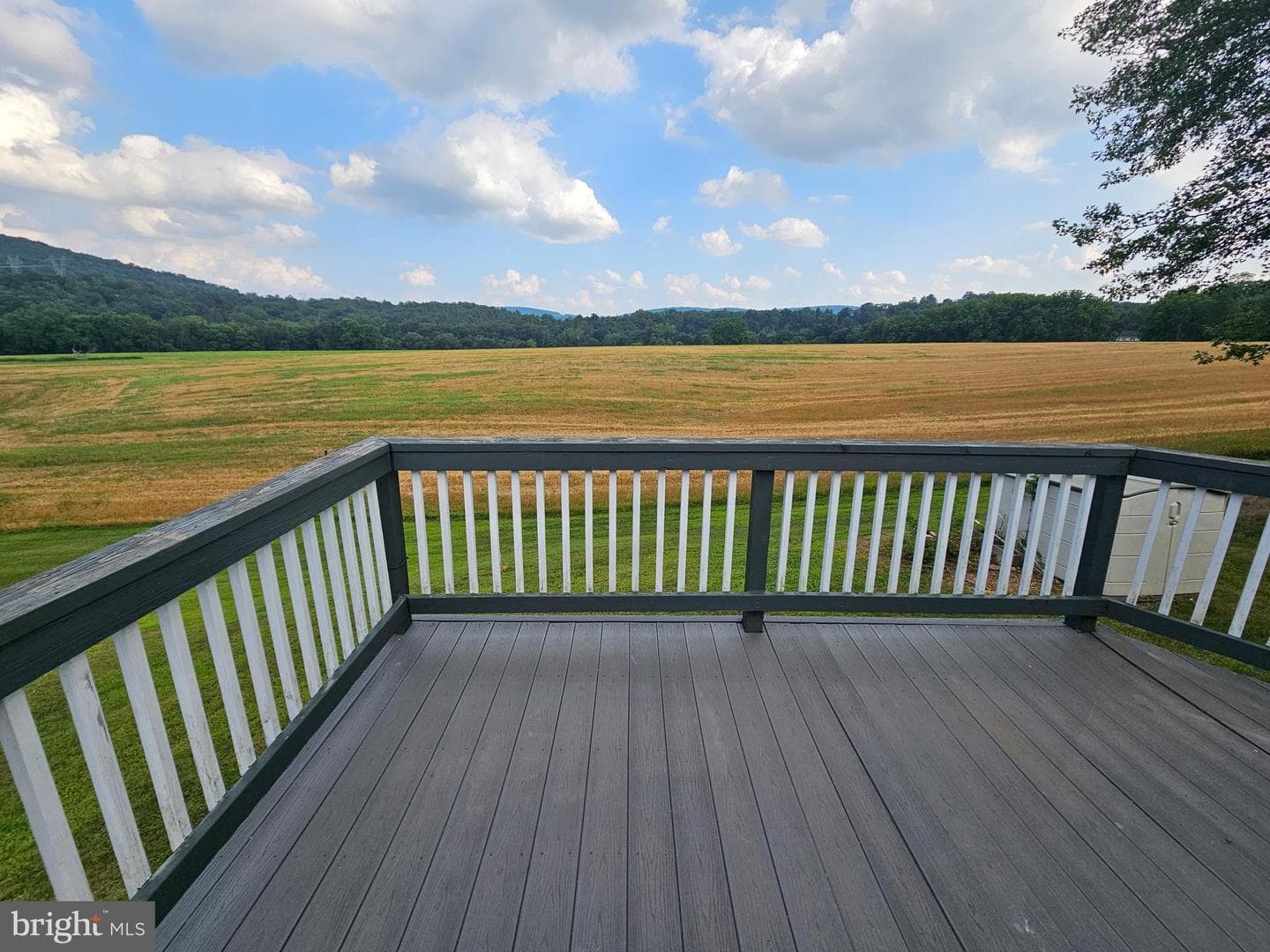 415 Meadow Lane photo 2