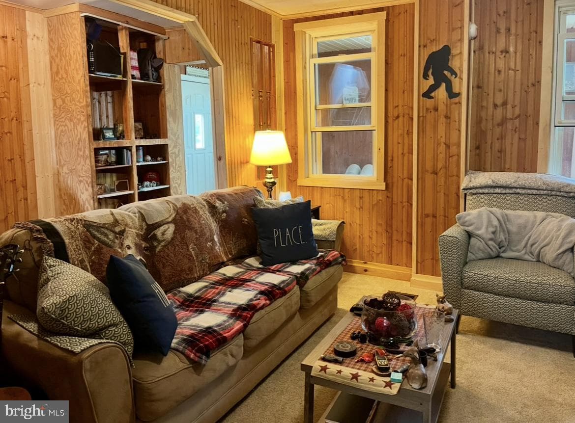 209 E Water Street photo 8