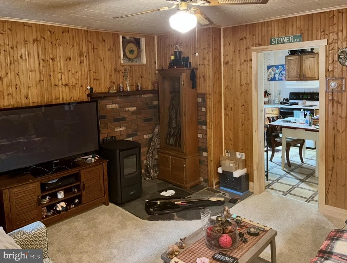209 E Water Street photo 9
