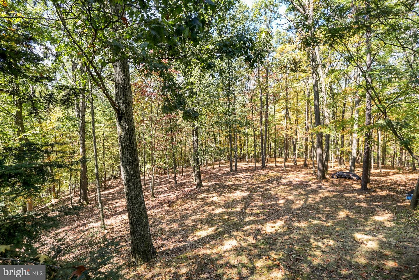 842 Pisgah Road photo 41