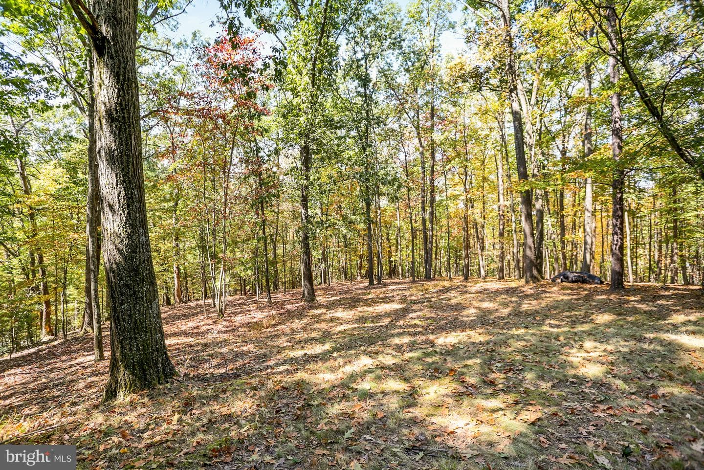 842 Pisgah Road photo 44