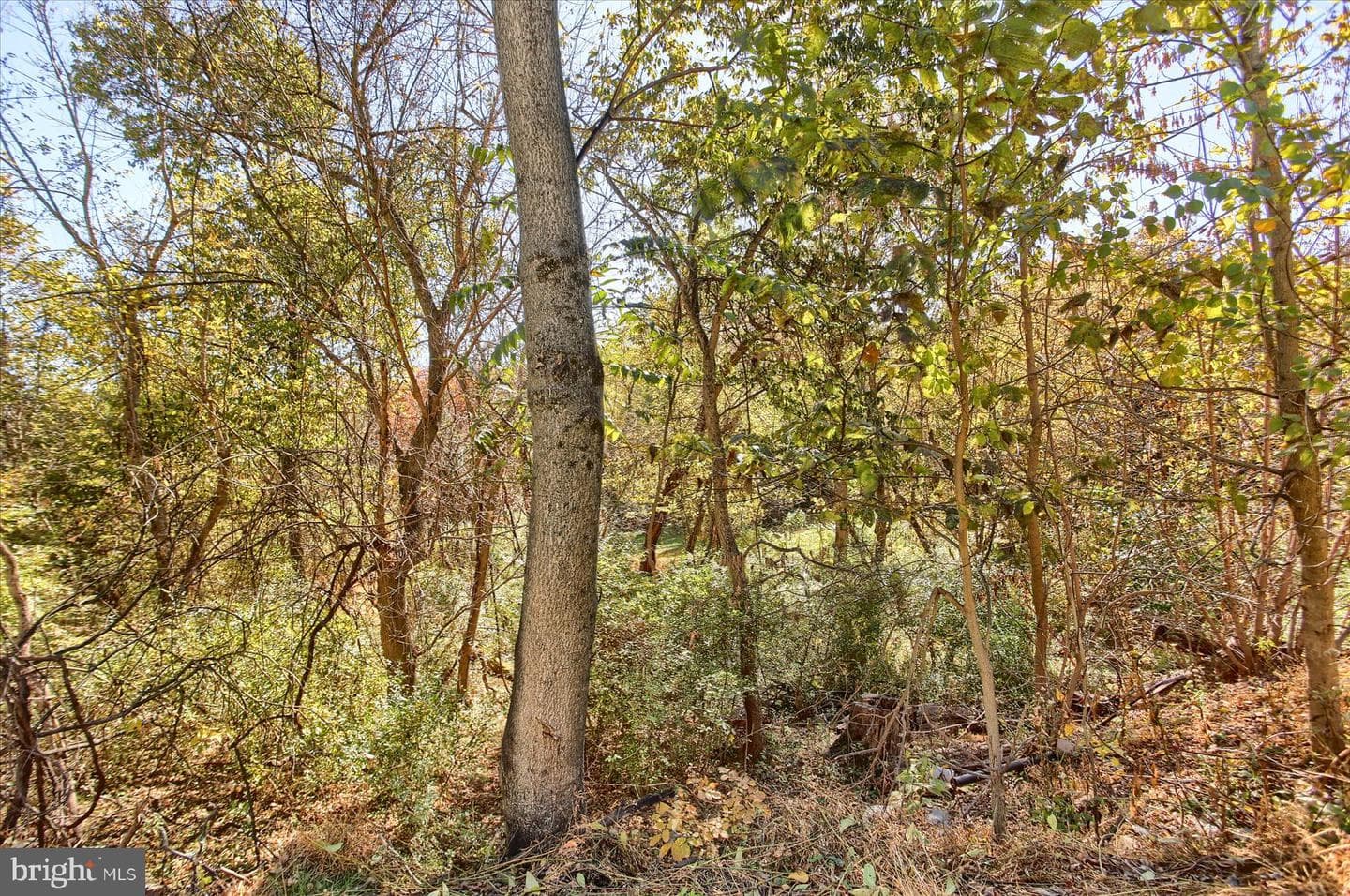 112 Kings Highway photo 40