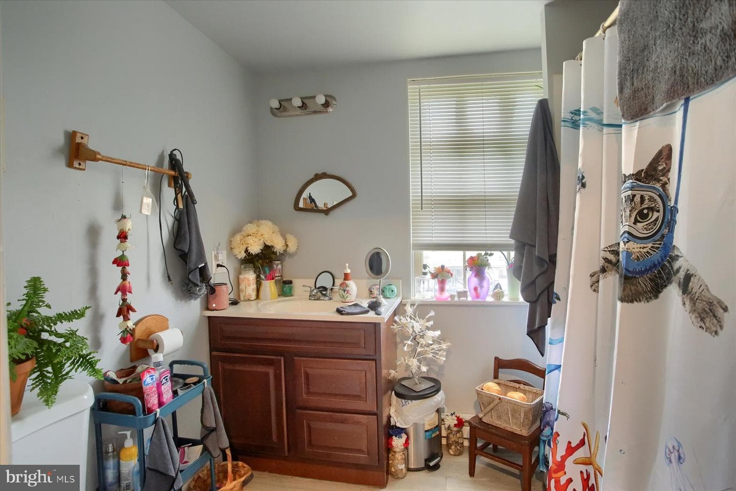 46 N Front Street photo 19