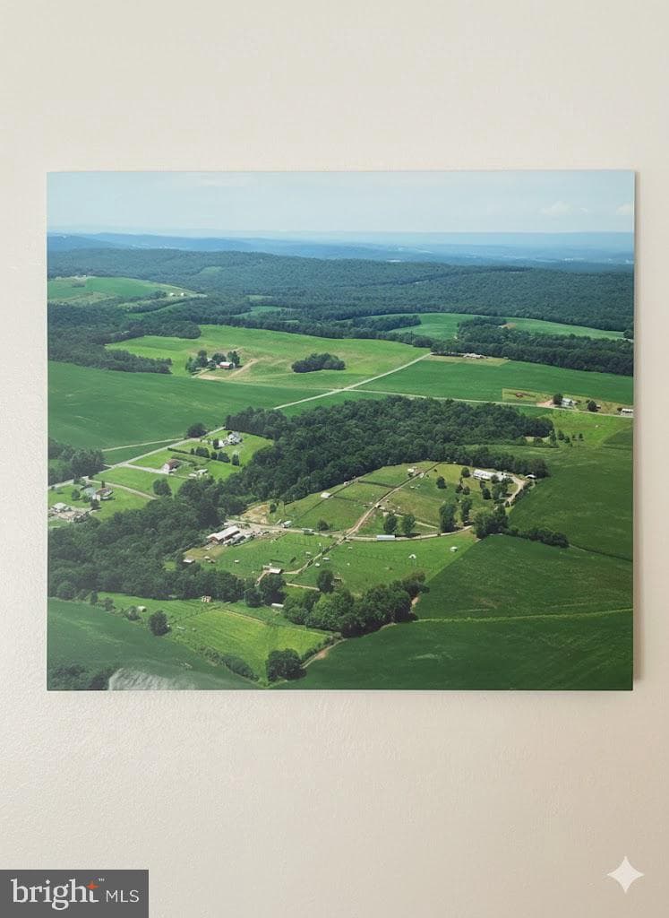 399 Windy Hill Road photo 47