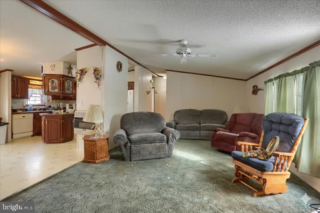 399 Windy Hill Road photo 8
