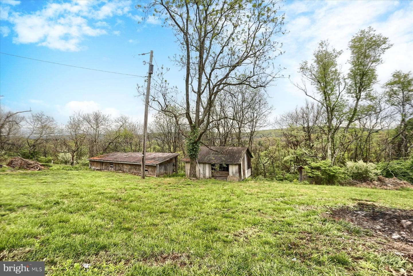 4401 Middle Ridge Road photo 42