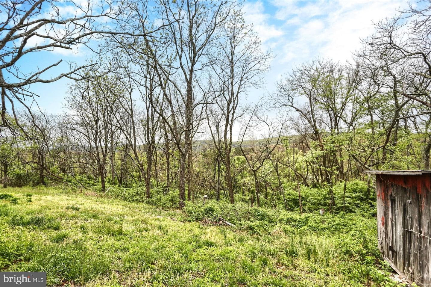 4401 Middle Ridge Road photo 43