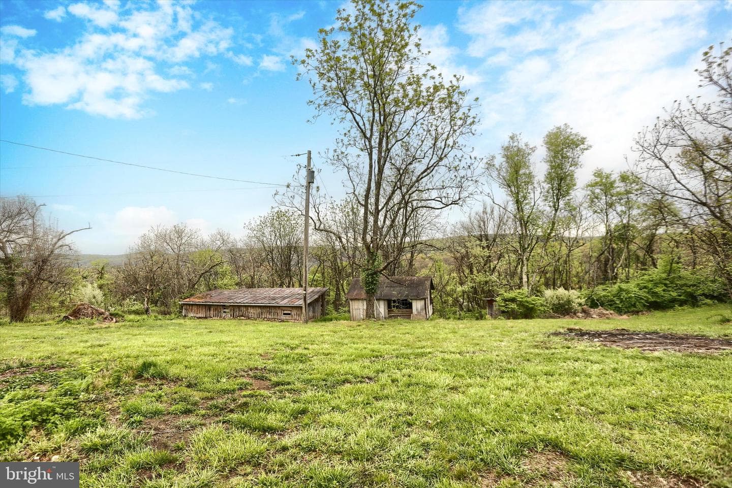 4401 Middle Ridge Road photo 44
