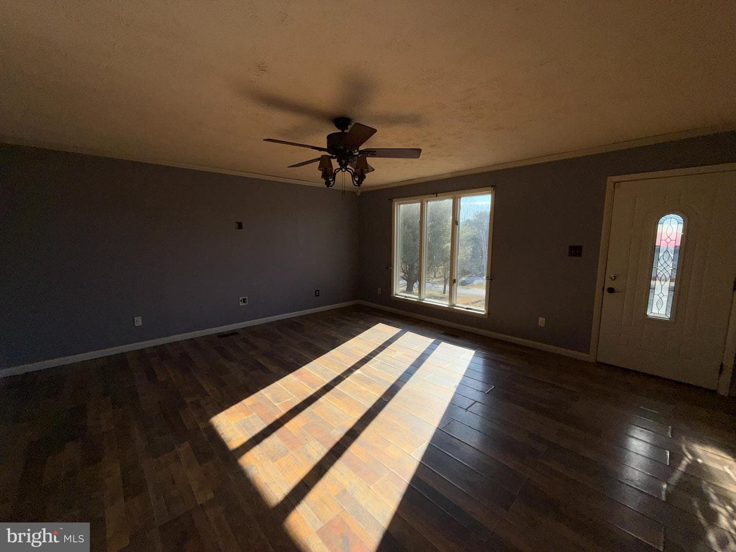 15 Sharon Drive photo 2
