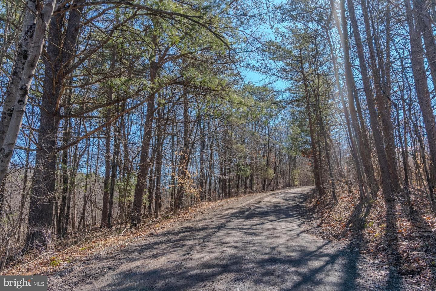 651 Robinson Road photo 70