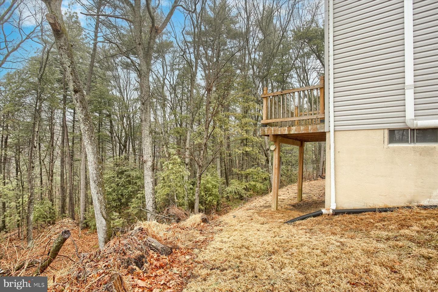 230 Woodridge Circle photo 37