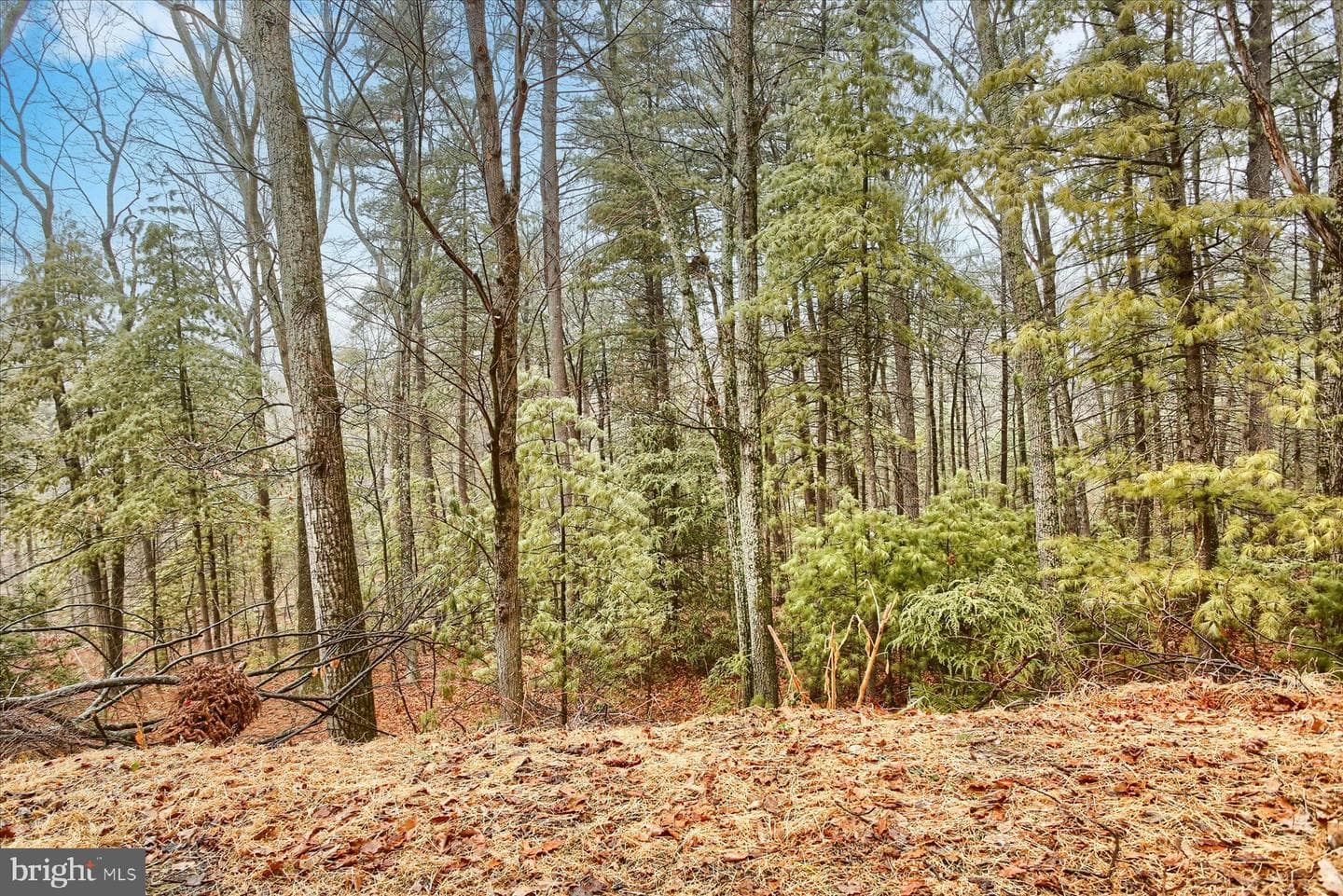 230 Woodridge Circle photo 39