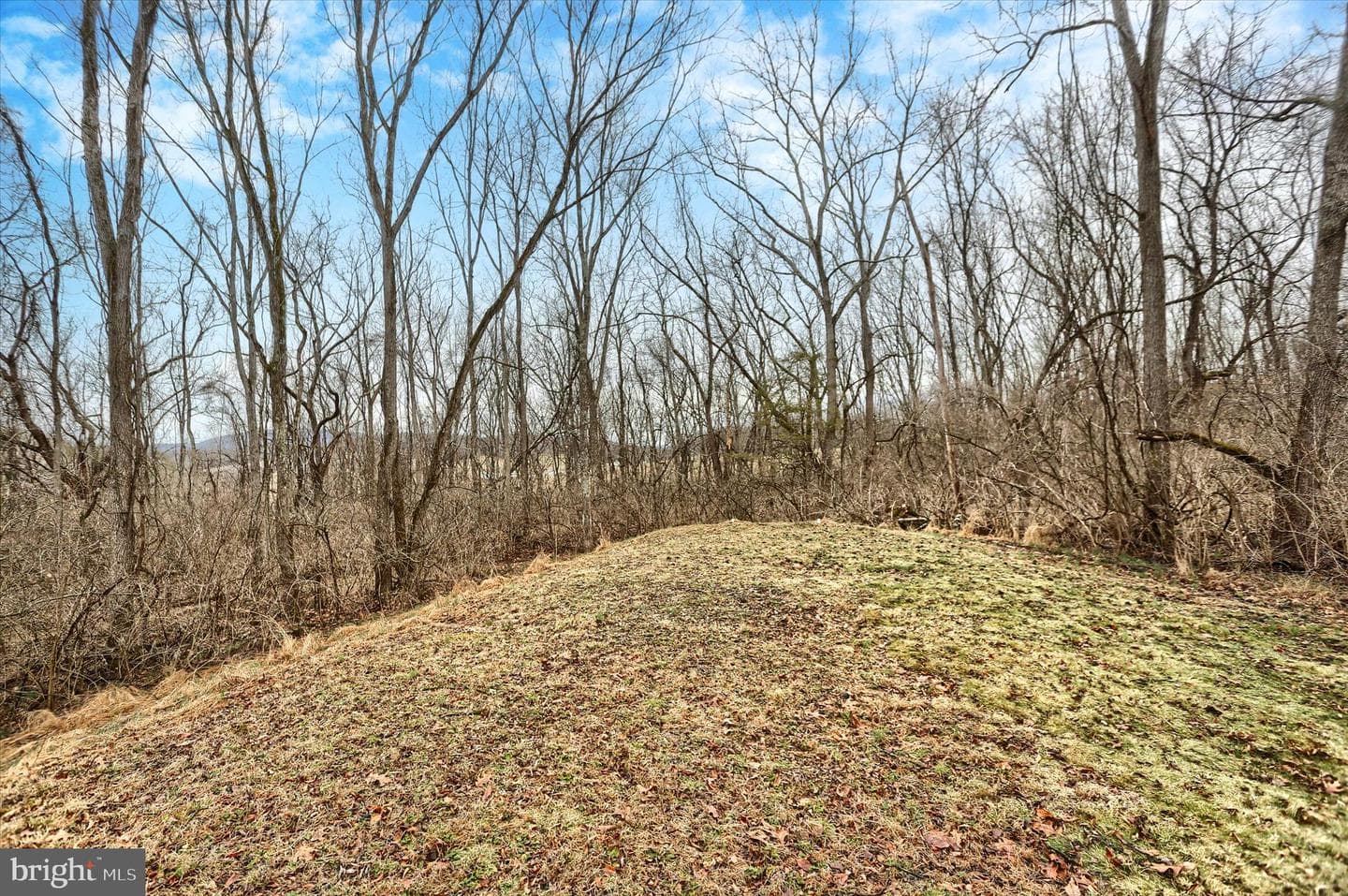 160 Germany Ridge Road photo 59