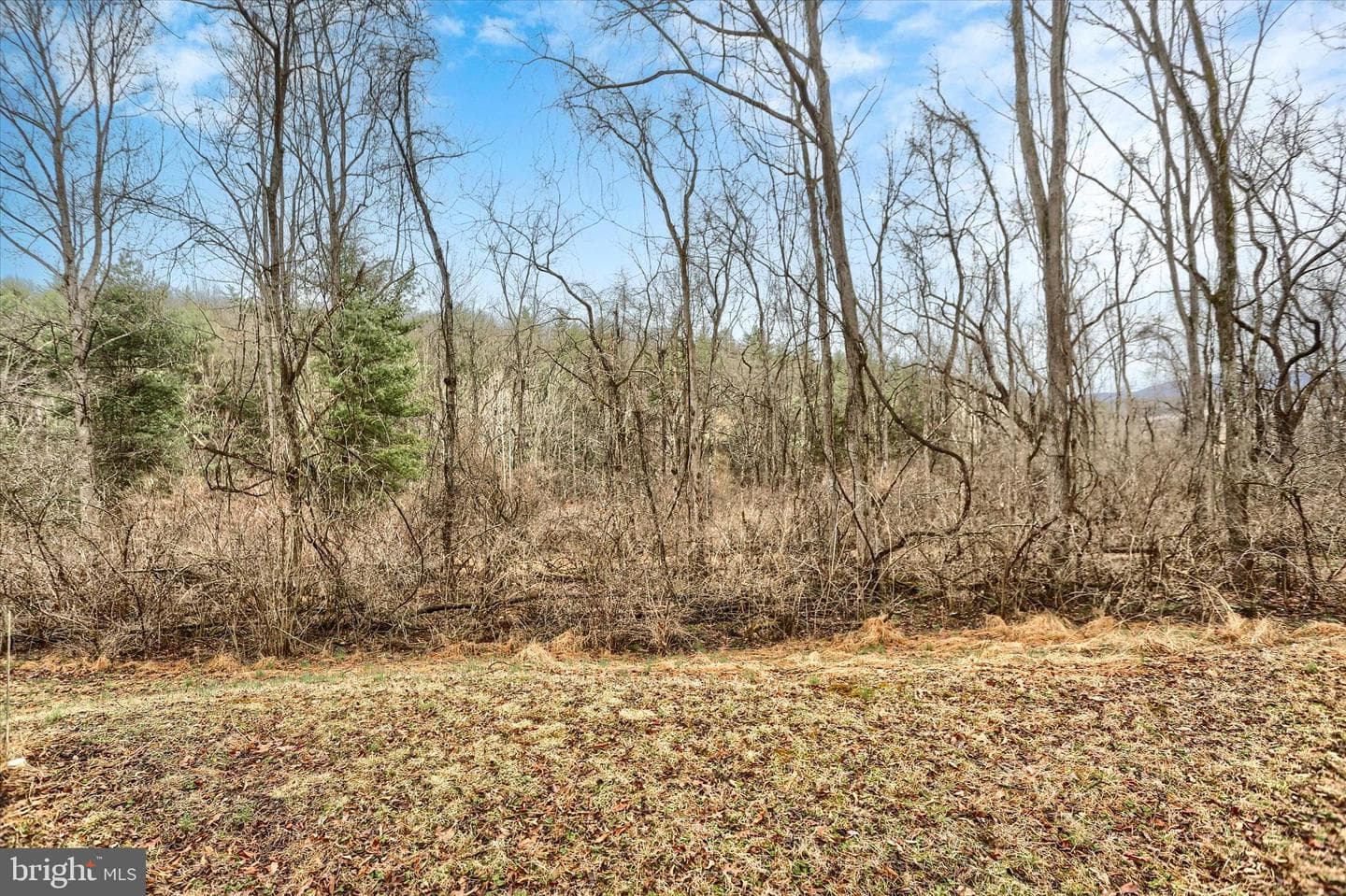 160 Germany Ridge Road photo 60