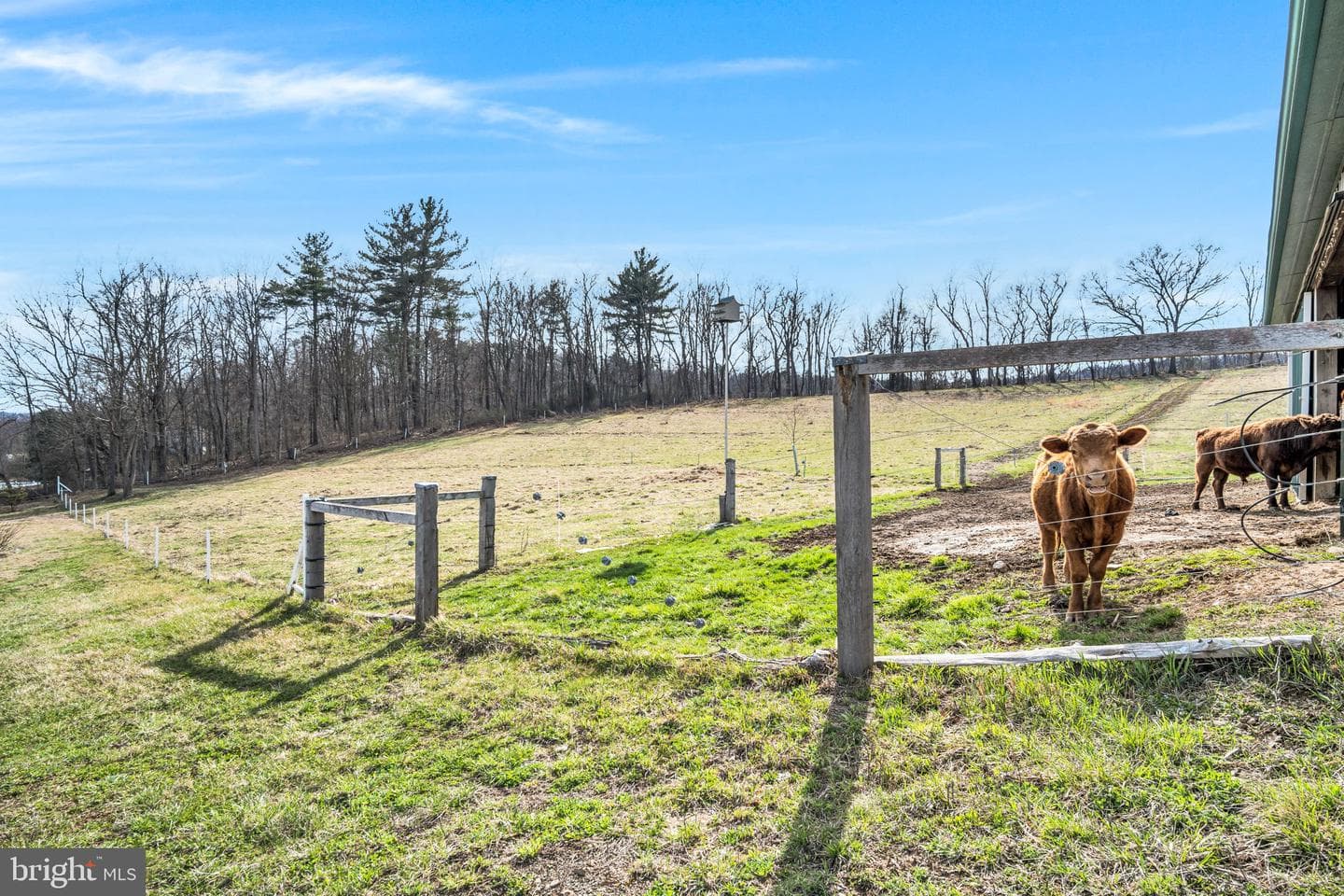 6196 Waggoners Gap Road photo 53