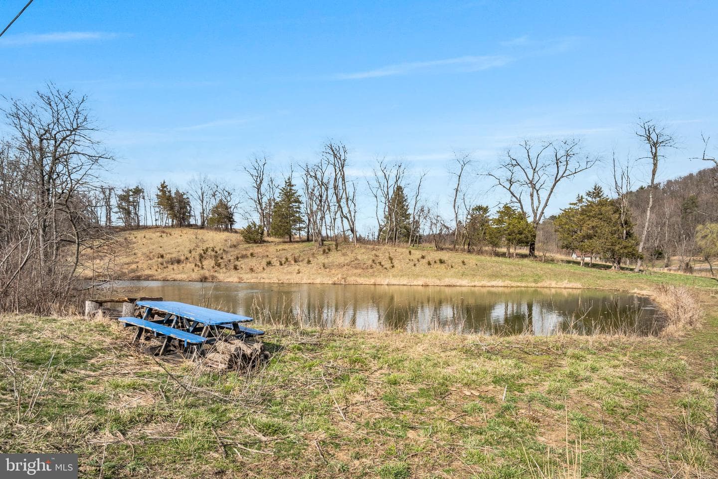 6196 Waggoners Gap Road photo 54