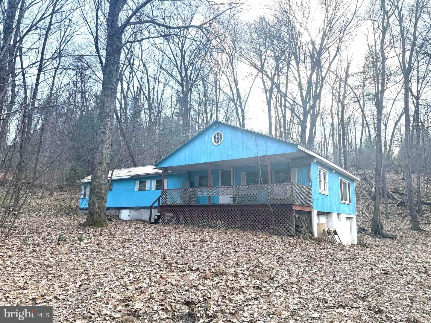 228 Pinebrook Drive photo 12