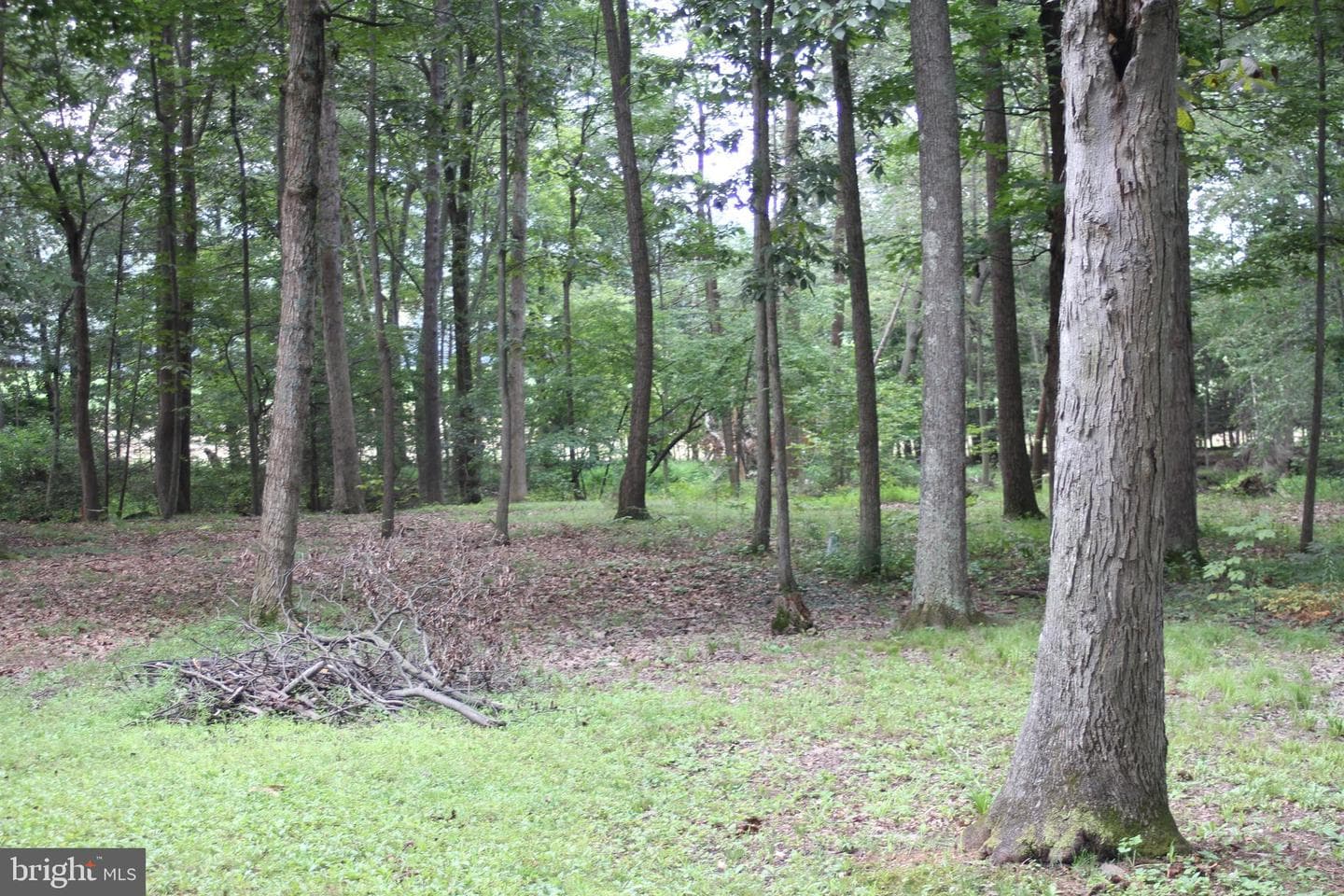 215 Wolfgang Lane photo 16