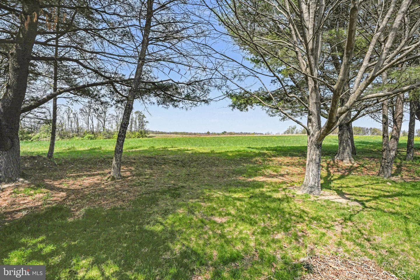 72 Greening Life Lane photo 29