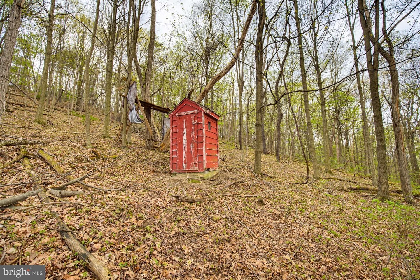 149 Cabin Lane photo 17