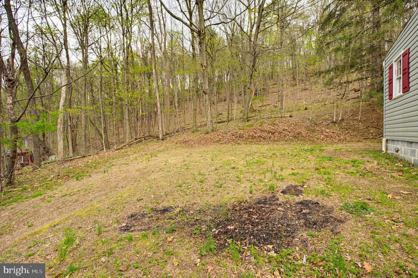 149 Cabin Lane photo 22