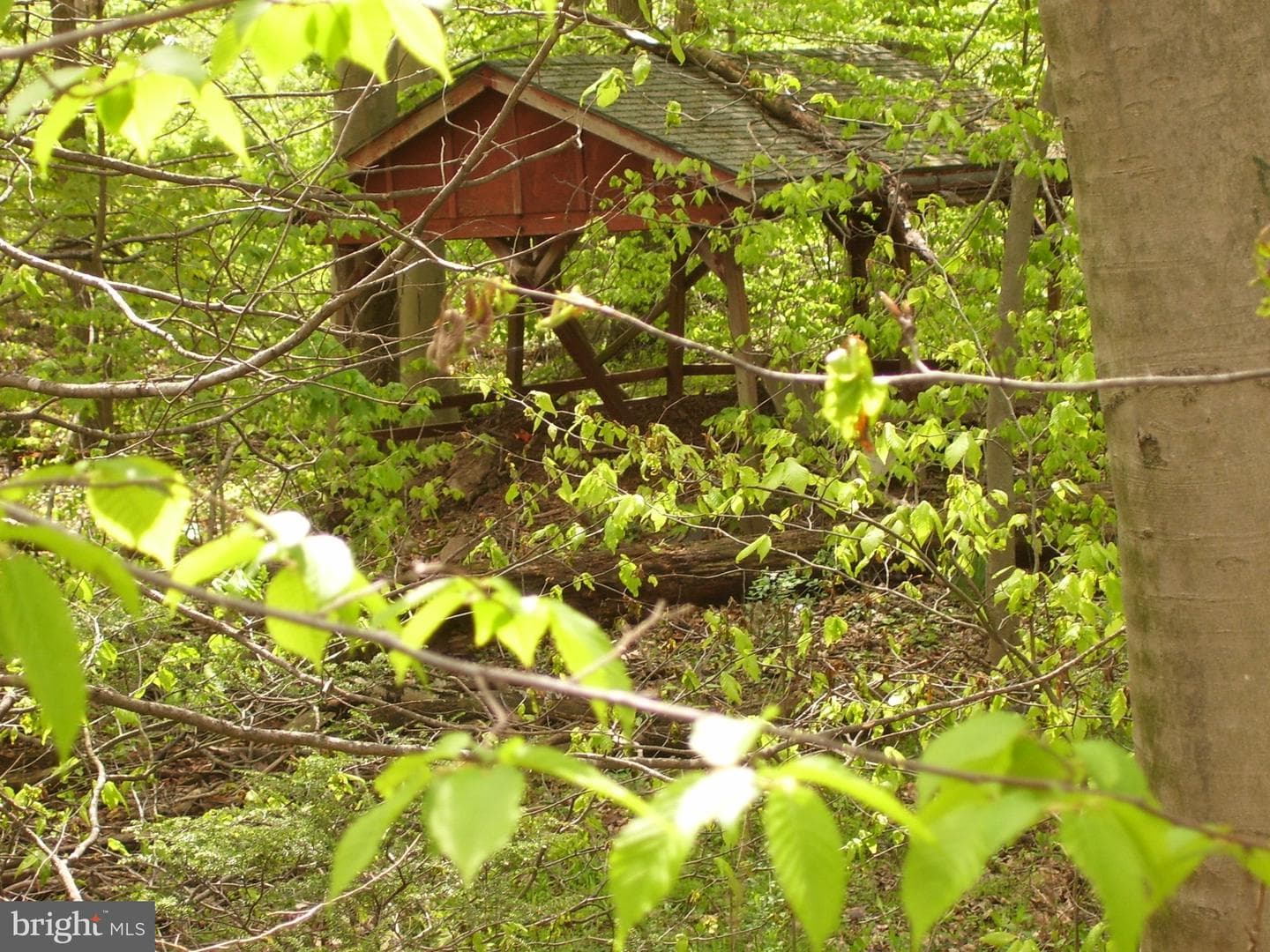 75 Wolfgang Lane photo 17