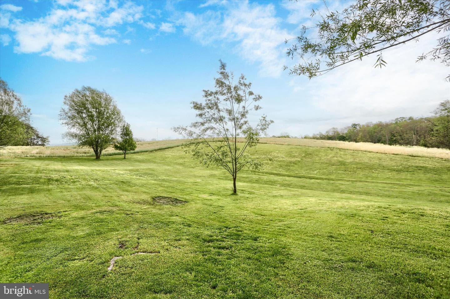 695 Windy Hill Road photo 29