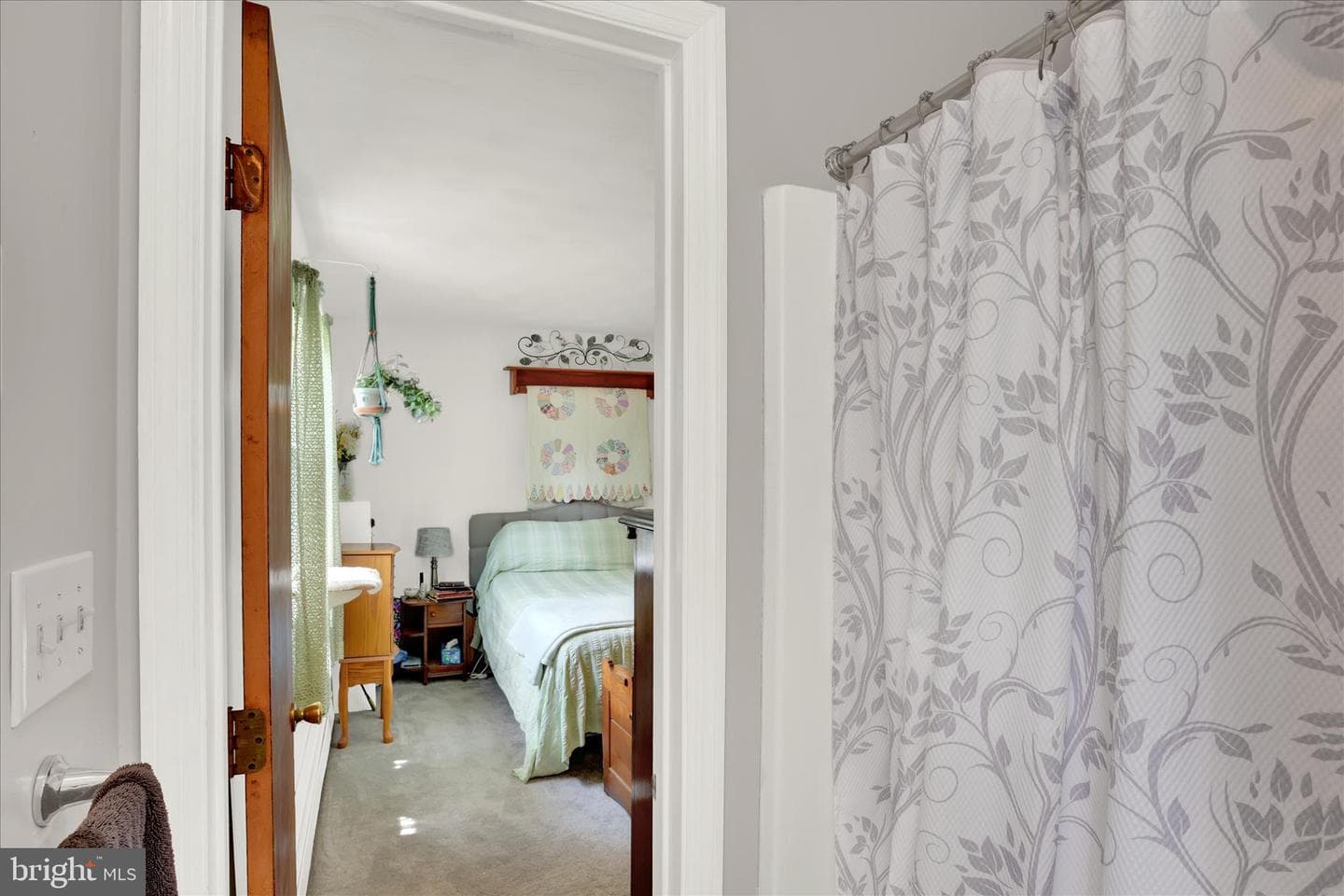20 Willow Street photo 27