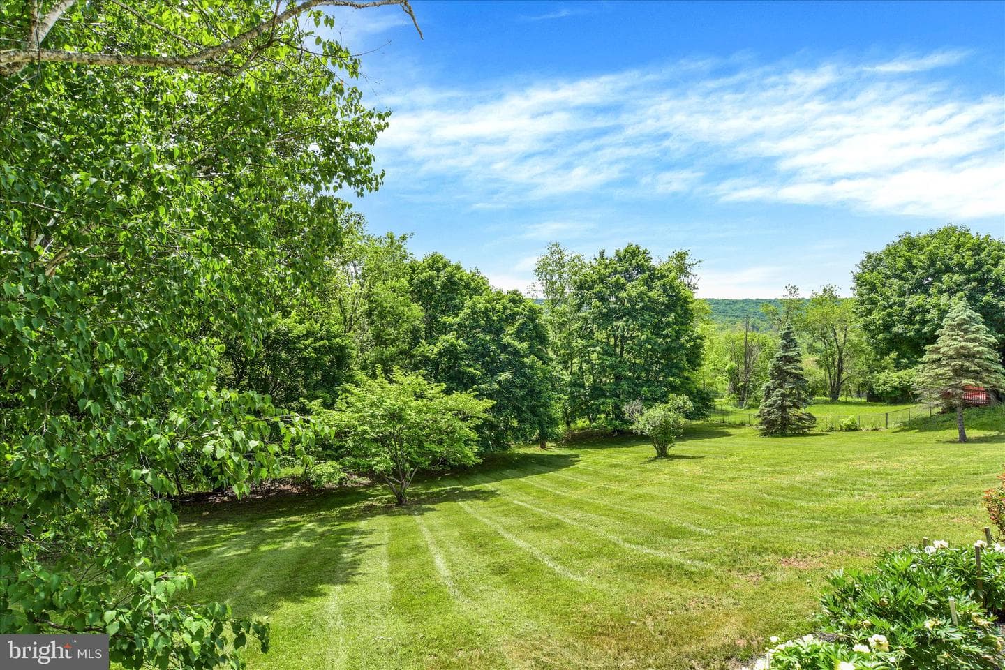 20 Willow Street photo 37