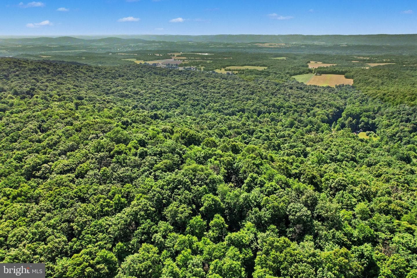 739 Bucks Church Road photo 12