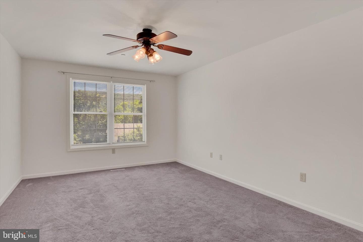 1203 Lincoln Street photo 13